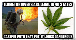 Flamethrowers are legal in 40 states careful with that pot, it looks dangerous  flamethrower vs weed