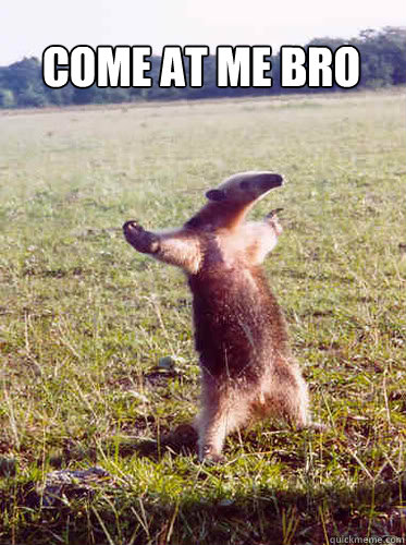 COME AT ME BRO  Come at me bro