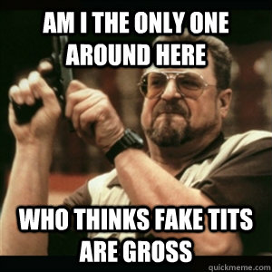 Am i the only one around here who thinks fake tits are gross  Am I The Only One Round Here