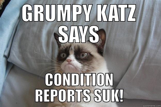 GRUMPY KATZ SAYS CONDITION REPORTS SUK! Grumpy Cat