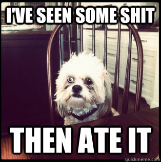 I've seen some shit then ate it  Life Hardened Dog
