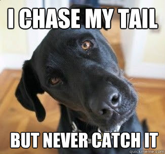 I chase my tail  but never catch it  