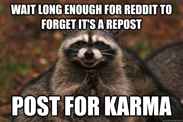 Wait long enough for reddit to forget it's a repost post for karma   Evil Plotting Raccoon