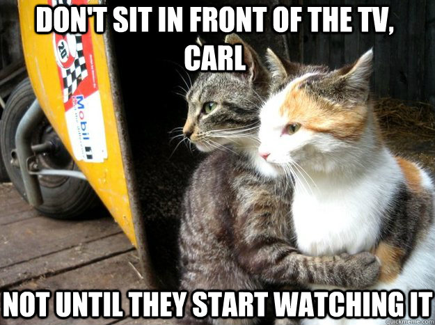 Don't sit in front of the TV, Carl Not until they start watching it - Don't sit in front of the TV, Carl Not until they start watching it  Restraining Cat