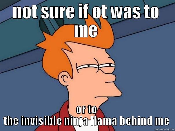NOT SURE IF OT WAS TO ME OR TO THE INVISIBLE NINJA LLAMA BEHIND ME Futurama Fry