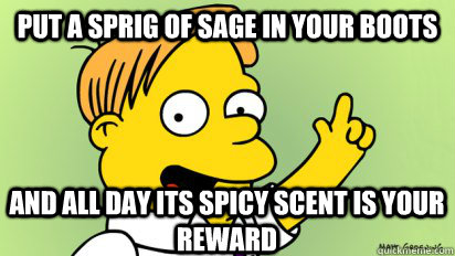put a sprig of sage in your boots  and all day its spicy scent is your reward - put a sprig of sage in your boots  and all day its spicy scent is your reward  Misc