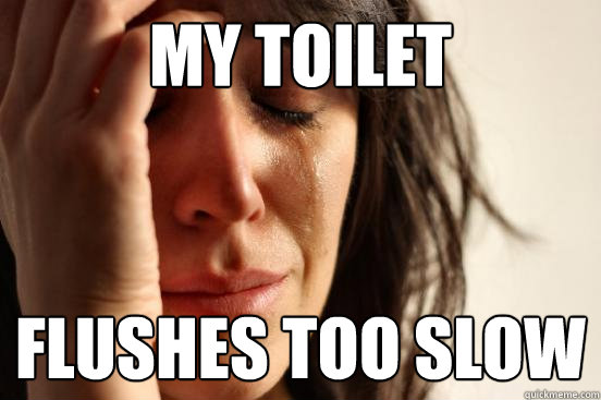 My Toilet flushes too slow  First World Problems