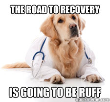 The road to recovery Is going to be ruff  Doctor Dog