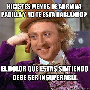 hicistes memes de adriana padilla y no te esta hablando?  El dolor que estas sintiendo debe ser insuperable - hicistes memes de adriana padilla y no te esta hablando?  El dolor que estas sintiendo debe ser insuperable  willy wonka