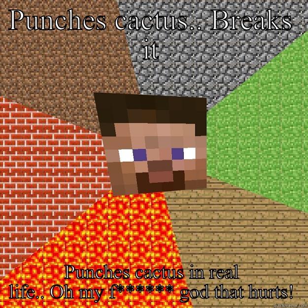 PUNCHES CACTUS.. BREAKS IT PUNCHES CACTUS IN REAL LIFE.. OH MY F****** GOD THAT HURTS! Minecraft