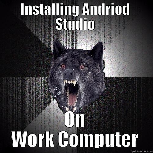 INSTALLING ANDRIOD STUDIO ON WORK COMPUTER Insanity Wolf