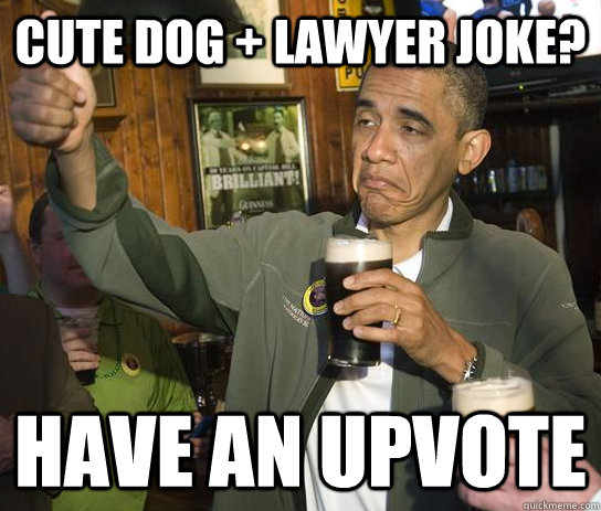 cute dog + lawyer joke? Have an upvote - cute dog + lawyer joke? Have an upvote  Approving Obama