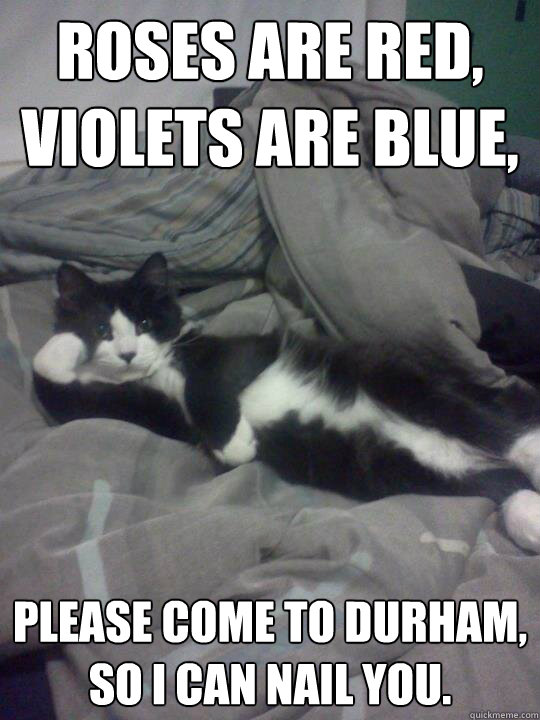Roses are red,
Violets are blue, Please come to Durham,
So I can nail you.  Seductive Cat