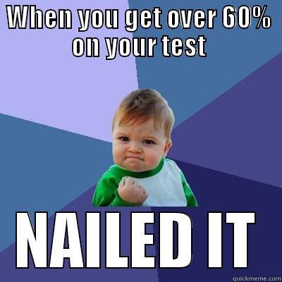 WHEN YOU GET OVER 60% ON YOUR TEST NAILED IT Success Kid