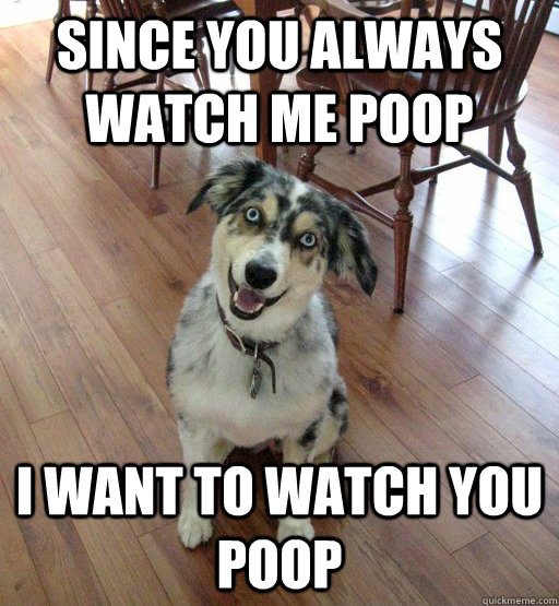 Since you always watch me poop I want to watch you poop  Overly Attached Dog