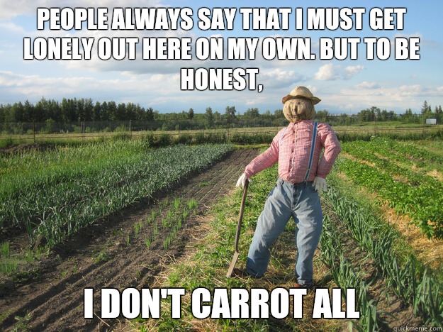 People always say that I must get lonely out here on my own. but to be honest,  I don't carrot all  Scarecrow