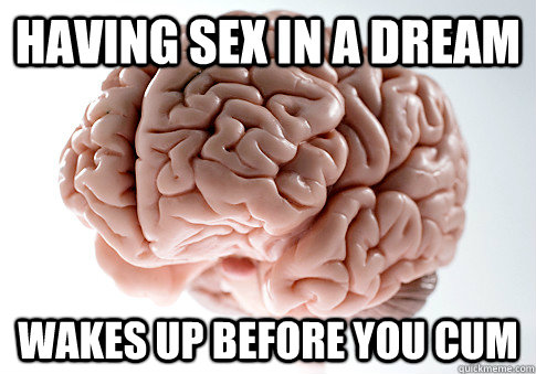 having sex in a dream wakes up before you cum  Scumbag Brain