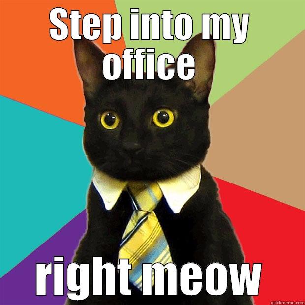 STEP INTO MY OFFICE RIGHT MEOW Business Cat