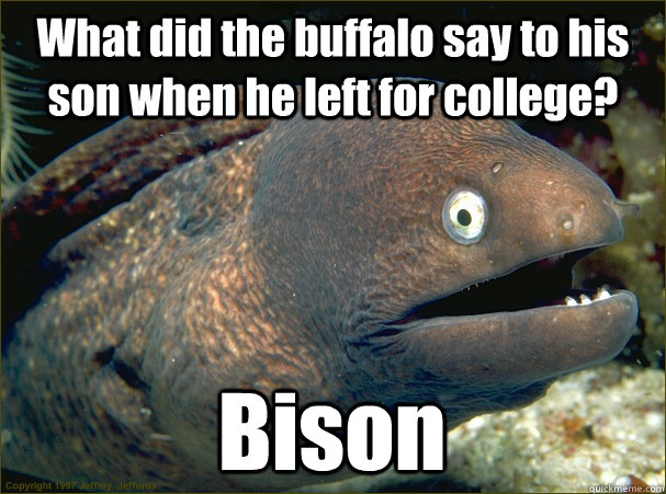 What did the buffalo say to his son when he left for college? Bison  - What did the buffalo say to his son when he left for college? Bison   Bad Joke Eel
