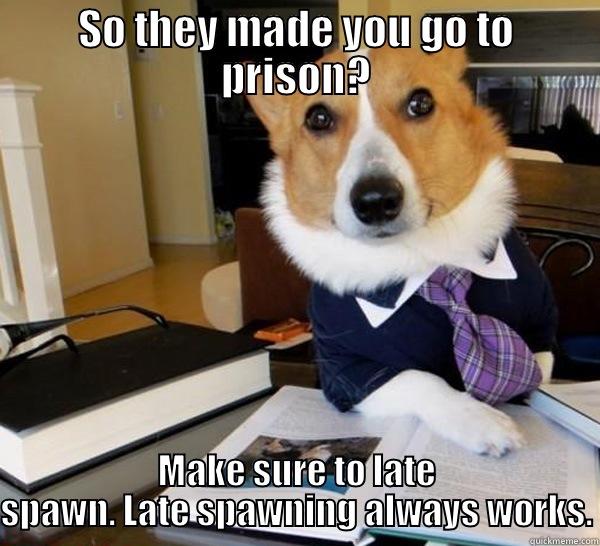Oh come on! - SO THEY MADE YOU GO TO PRISON? MAKE SURE TO LATE SPAWN. LATE SPAWNING ALWAYS WORKS. Lawyer Dog