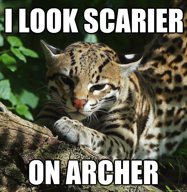 I LOOK SCARIER ON ARCHER - I LOOK SCARIER ON ARCHER  Opinion Ocelot