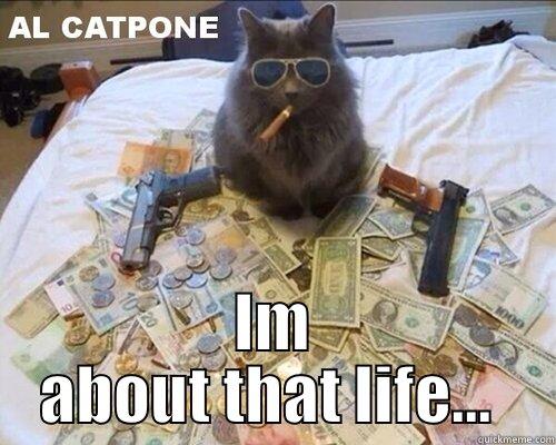 al catpone -  IM ABOUT THAT LIFE...  Misc
