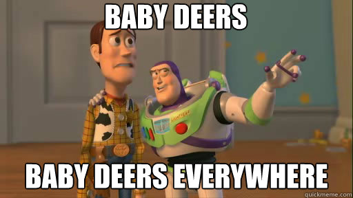 Baby deers Baby deers everywhere  Everywhere
