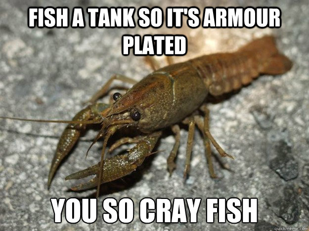 fish a tank so it's armour plated you so cray fish - fish a tank so it's armour plated you so cray fish  Crawfish