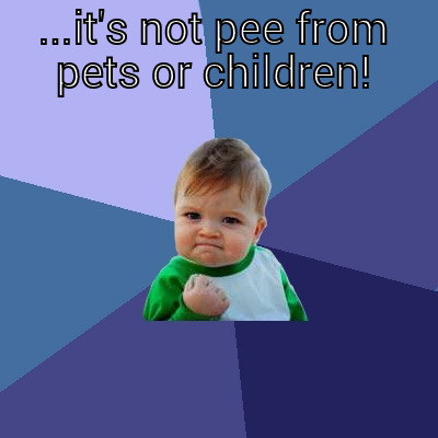 ...IT'S NOT PEE FROM PETS OR CHILDREN!  Success Kid