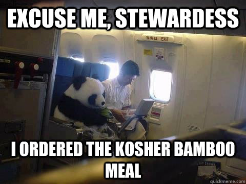 Excuse me, stewardess I ordered the kosher bamboo meal  