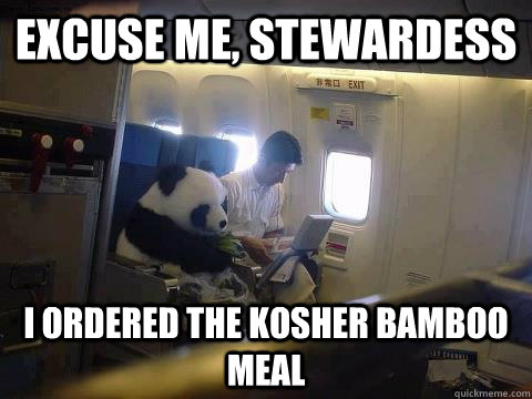 Excuse me, stewardess I ordered the kosher bamboo meal  Plane Panda