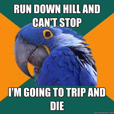 RUN DOWN HILL AND CAN'T STOP I'M GOING TO TRIP AND DIE  Paranoid Parrot