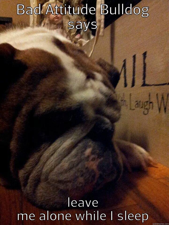 BAD ATTITUDE BULLDOG SAYS LEAVE ME ALONE WHILE I SLEEP Misc