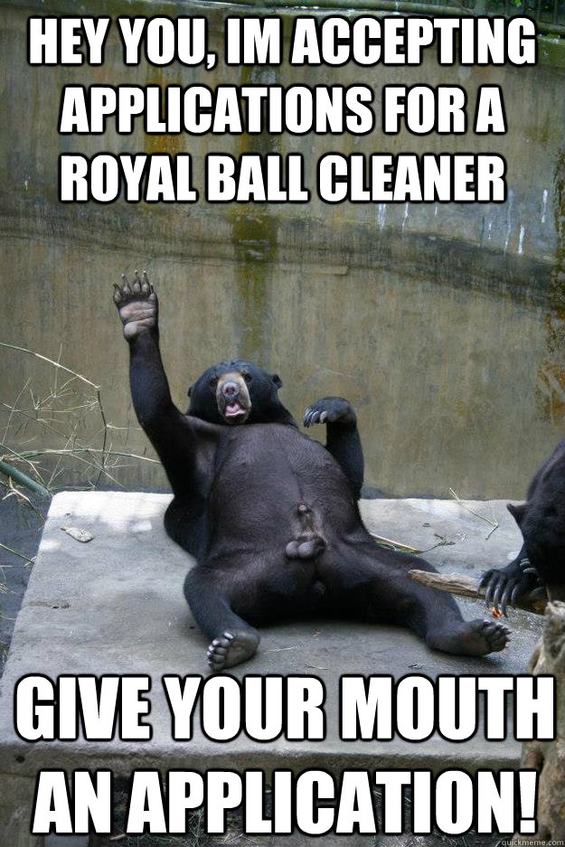 hey you, im accepting applications for a royal ball cleaner give your mouth an application!  Ballsy Bear