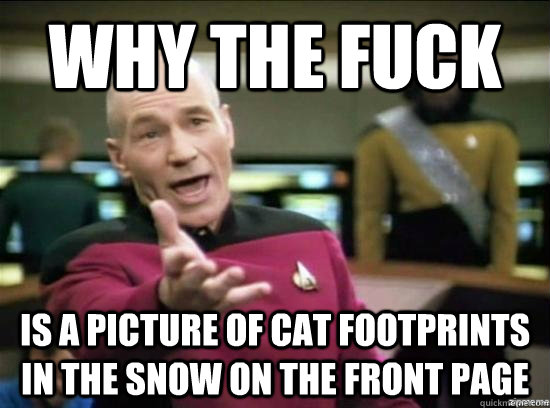 Why the fuck is a picture of cat footprints in the snow on the front page  Annoyed Picard HD