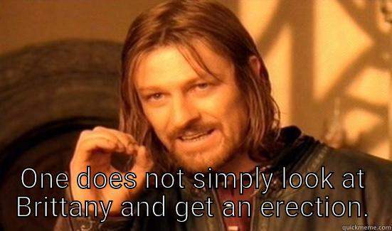  ONE DOES NOT SIMPLY LOOK AT BRITTANY AND GET AN ERECTION. Boromir