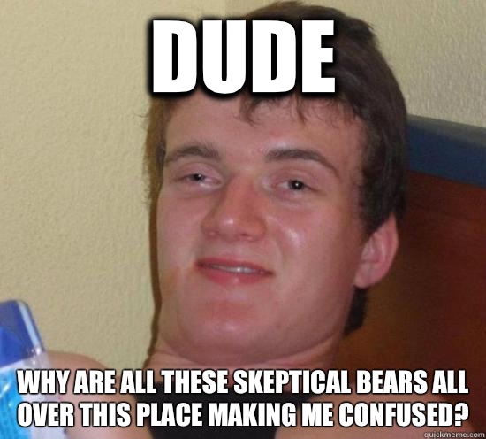 Dude Why are all these skeptical bears all over this place making me confused?  Really High Guy