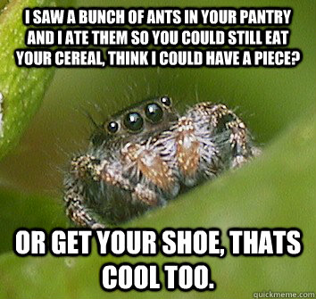 I saw a bunch of ants in your pantry and I ate them so you could still eat your cereal, think I could have a piece? Or get your shoe, thats cool too.  Misunderstood Spider