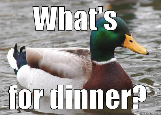 WHAT'S  FOR DINNER? Actual Advice Mallard