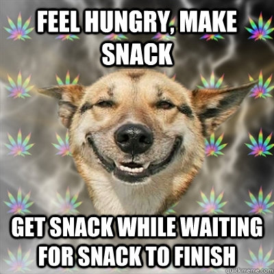 Feel hungry, make snack Get snack while waiting for snack to finish - Feel hungry, make snack Get snack while waiting for snack to finish  Stoner Dog