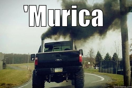'MURICA  Misc