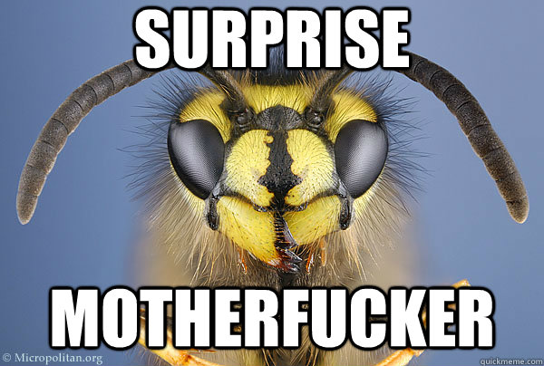 Surprise Motherfucker  Vengeful Wasp
