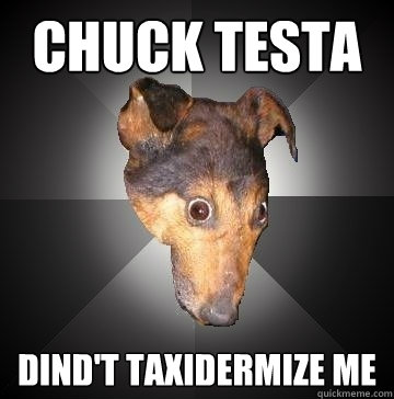 CHUCK TESTA DIND'T TAXIDERMIZE ME   Depression Dog