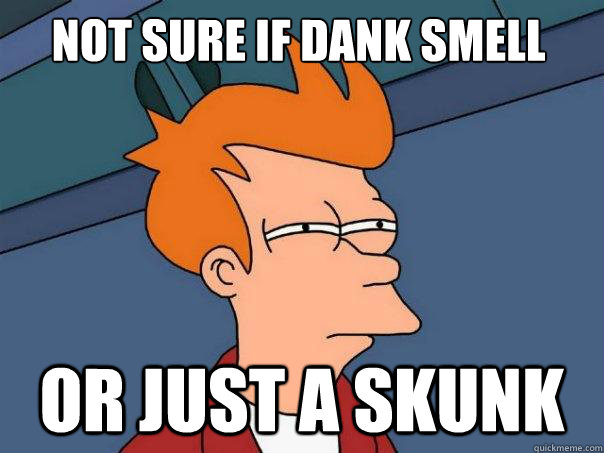 Not sure if dank smell or just a skunk  Futurama Fry