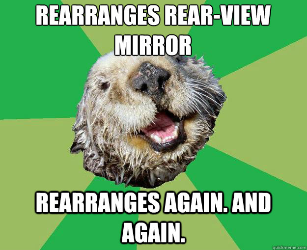 Rearranges rear-view mirror Rearranges again. And again.  OCD Otter