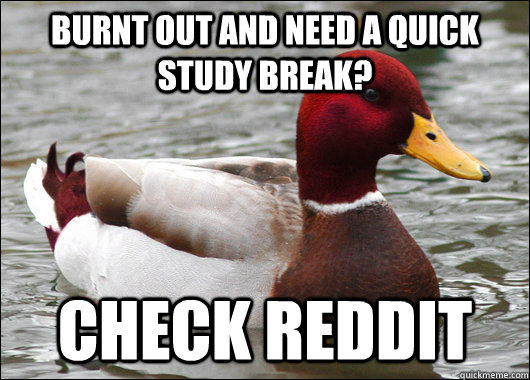 burnt out and need a quick study break? check reddit  Malicious Advice Mallard