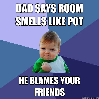 Dad says room smells like pot He blames your friends  Success Kid