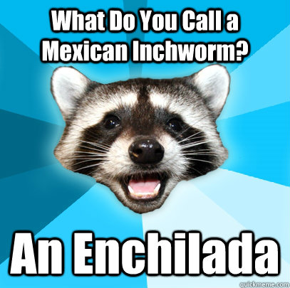 What Do You Call a Mexican Inchworm? An Enchilada  Lame Pun Coon