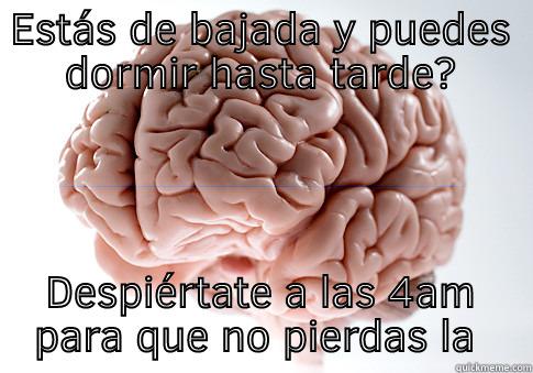 ESTÁS DE BAJADA Y PUEDES DORMIR HASTA TARDE? DESPIÉRTATE A LAS 4AM PARA QUE NO PIERDAS LA COSTUMBRE Scumbag Brain