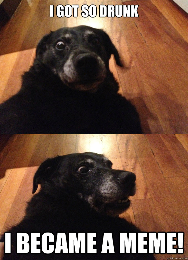 i got so drunk i became a meme!  